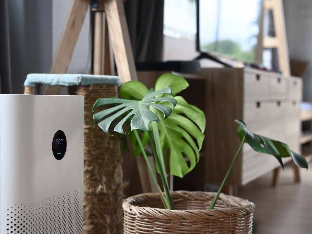 Oczyszczacz powietrza czy warto