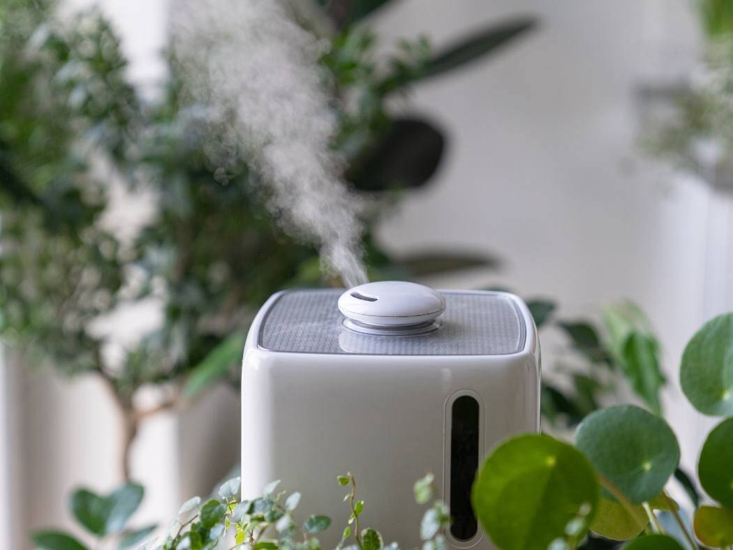 Najbardziej efektywny oczyszczacz powietrza z nawilżaczem